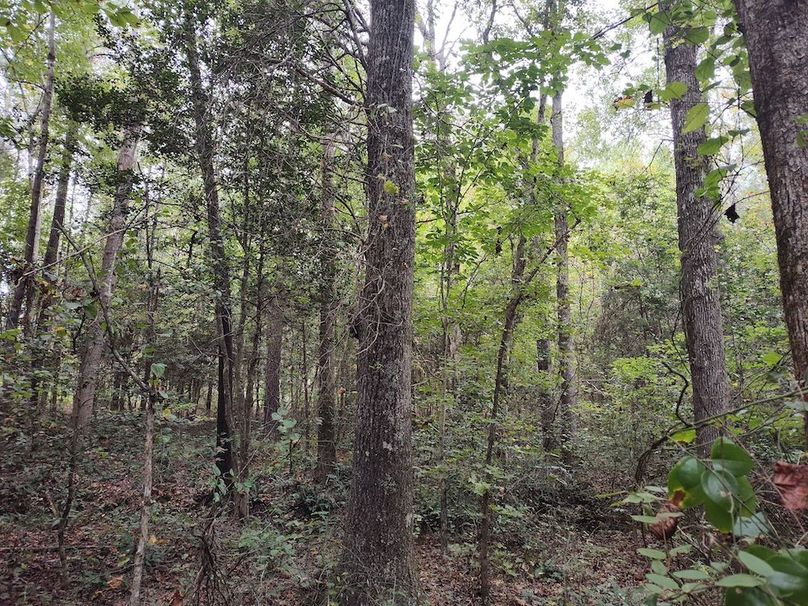 IMG_20250914_154411133