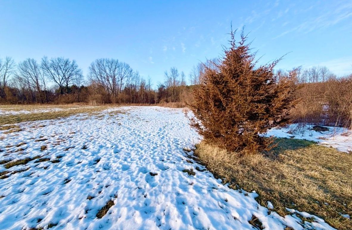 4 2nd field looking North