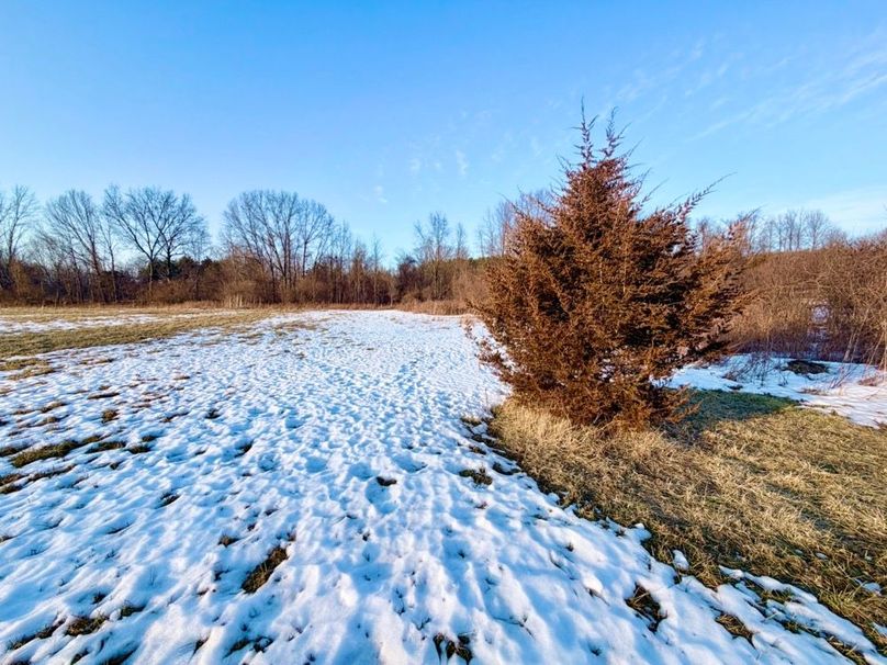 4 2nd field looking North