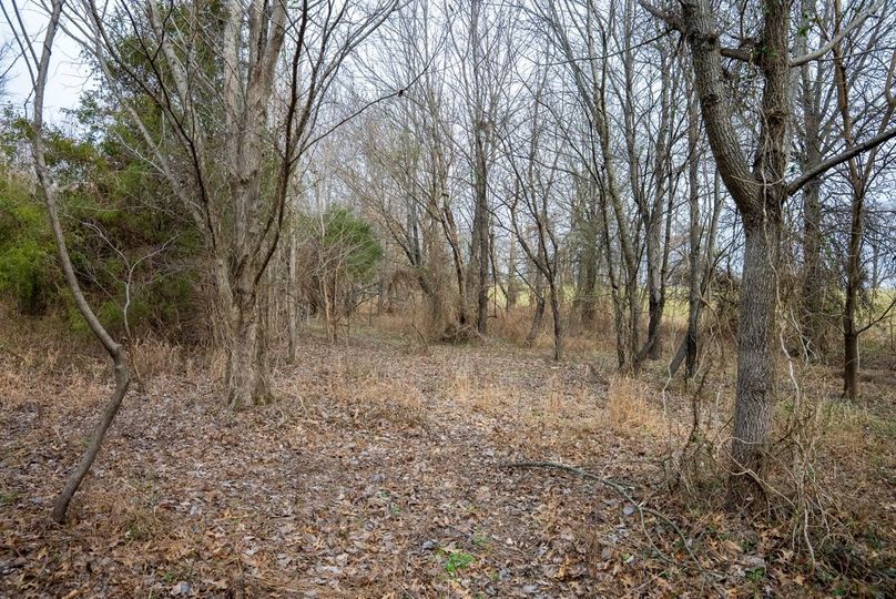 Copy of DSC00762 Large