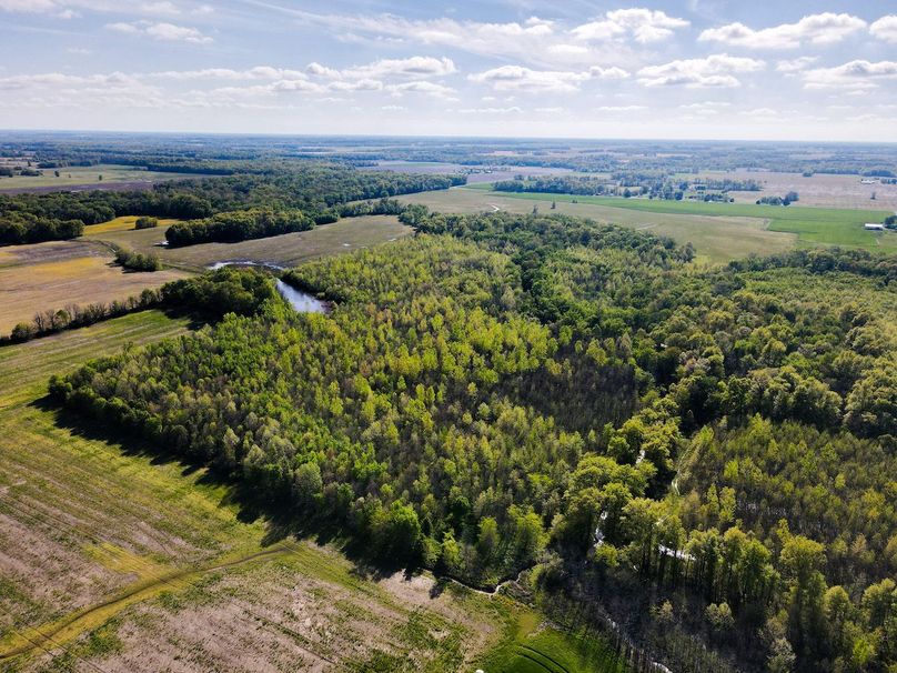 vandalia 450 (2)-3065