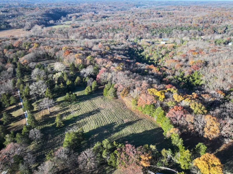 DJI_20251112080553_0865_D