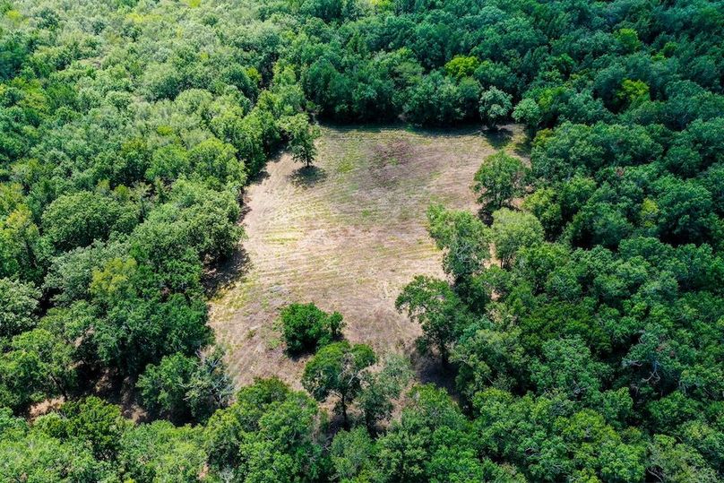 32 Leon Co. 117ac-14