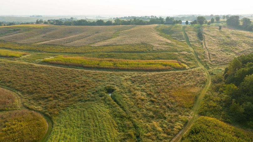 Cedar IA 152 Featured-Z98