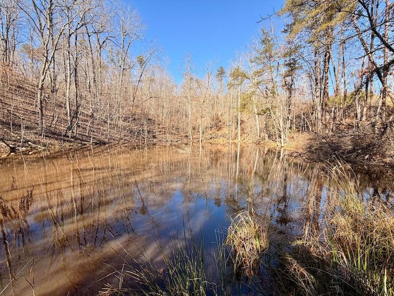 Roane Co TN 396 20251127_19