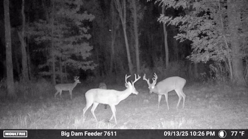 Tallahatchie 847 Trail Cam (JPG)-21