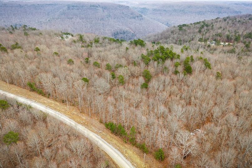 DJI_20260303131711_0029_D