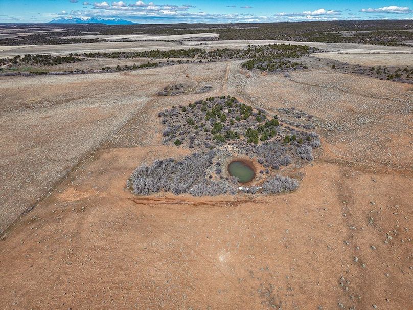 DJI_20260303123120_0066_D