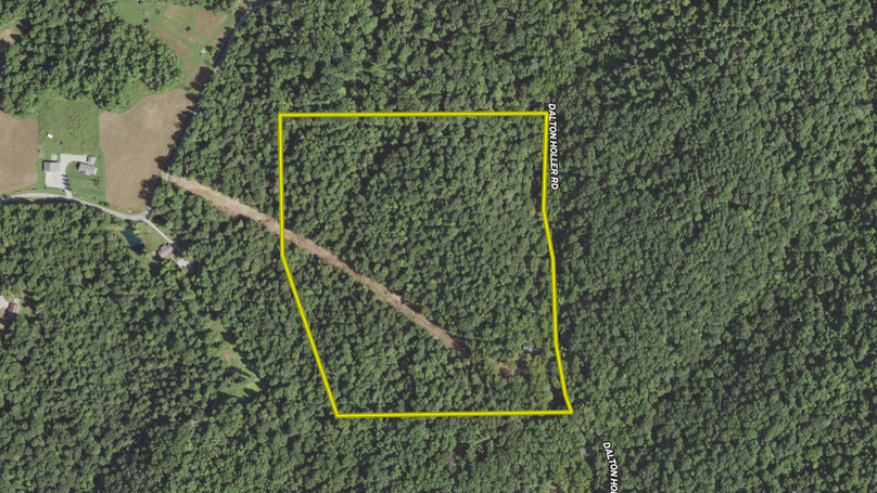 Screenshot 2024-08-15 103911