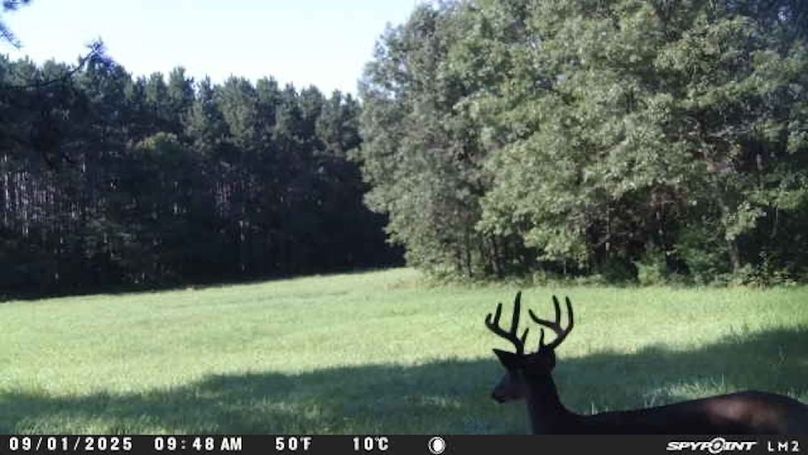 Copy of Trailcam7