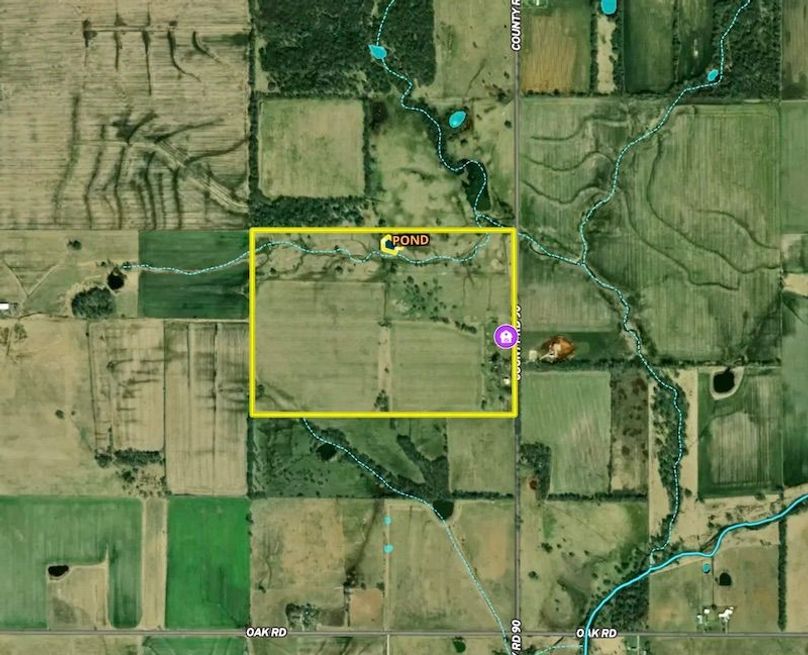 Screenshot 2026-02-24 at 2.59.54 PM