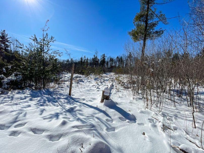 Portage 13.596, Van Asten-21