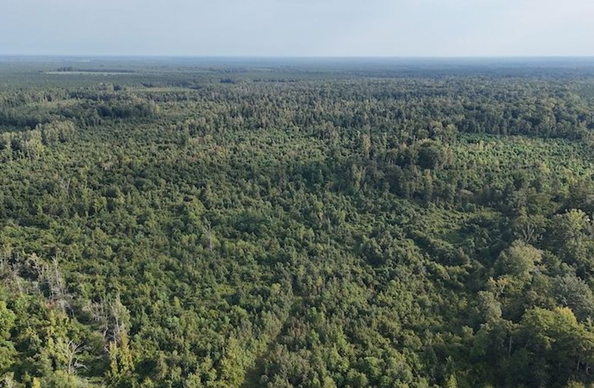 DJI_20250814085205_0056_D