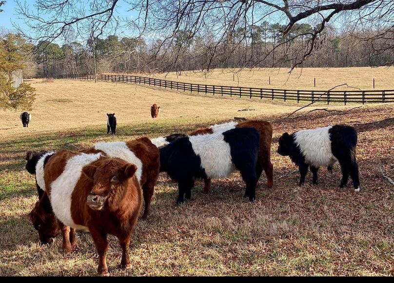 DJI_20250912004716_0390_D