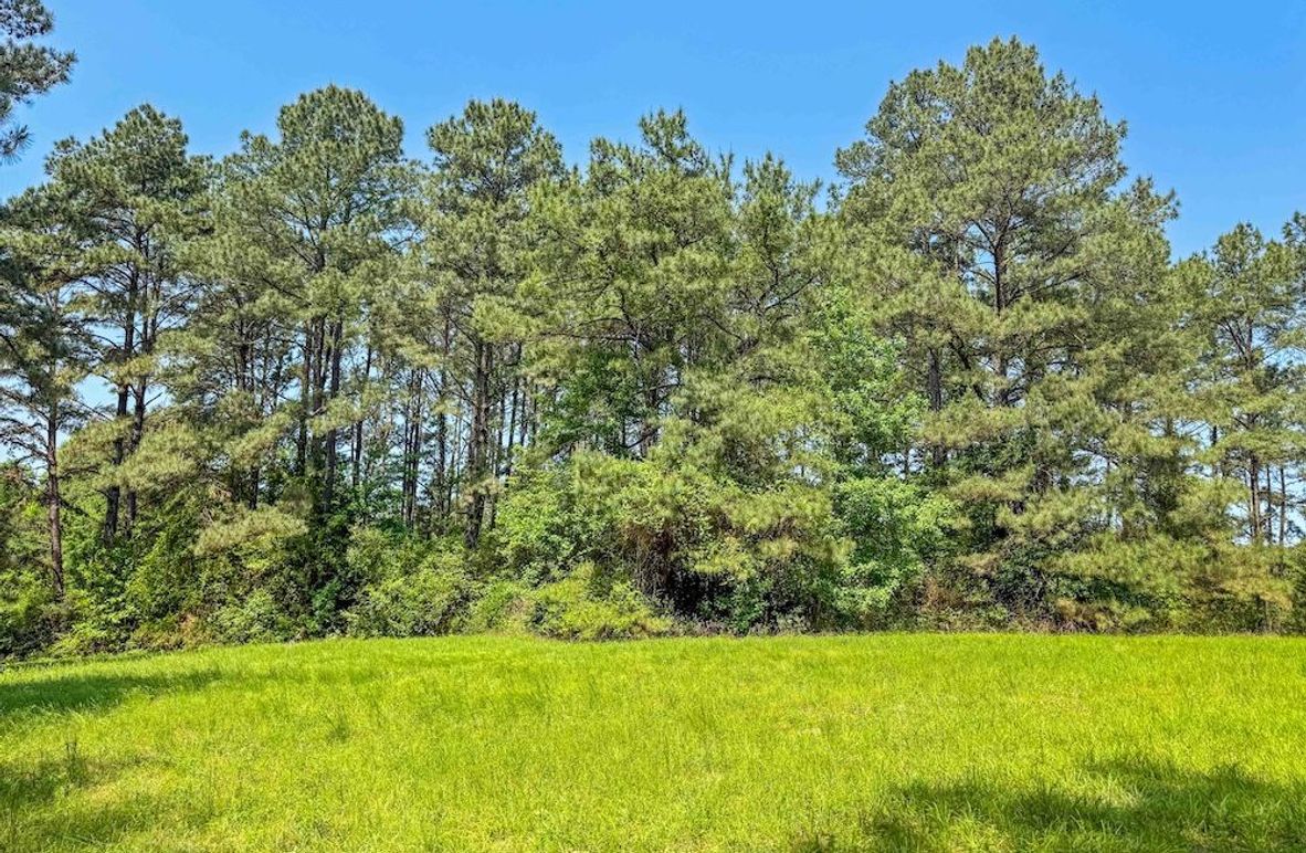 Copy of untitled-5-0-0