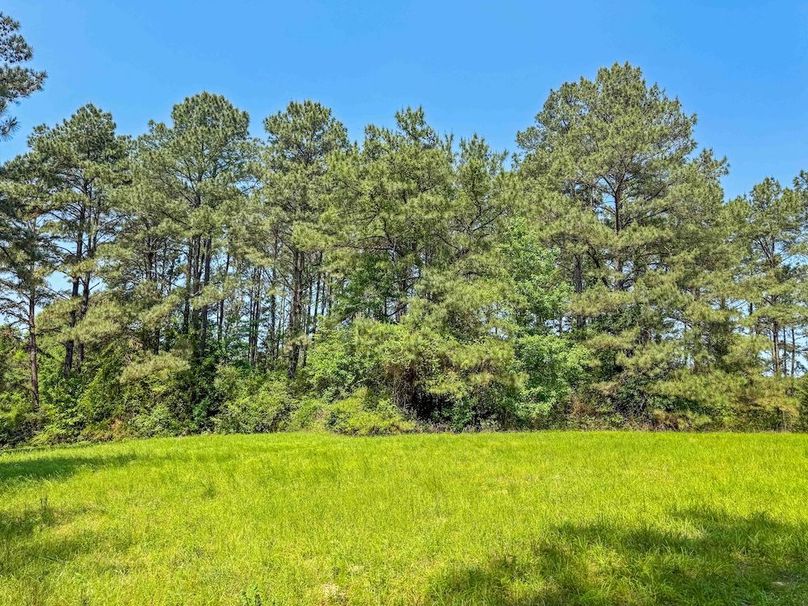 Copy of untitled-5-0-0