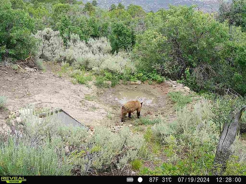 860516060007964-100-2-07192024122800-V-W1002046