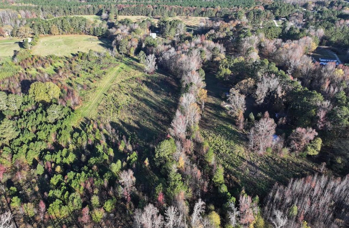 Copy of DJI_20241124090148_0206_D