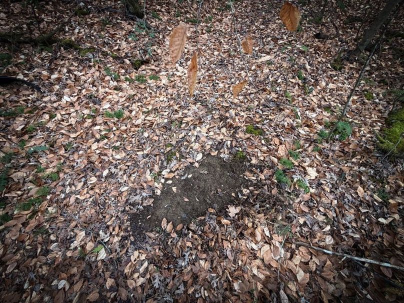 007 fresh scrapes scattered through the property-2