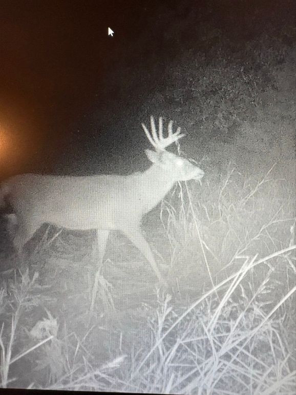 83C293AD-273A-44DF-B9B2-9B0D6B69B799