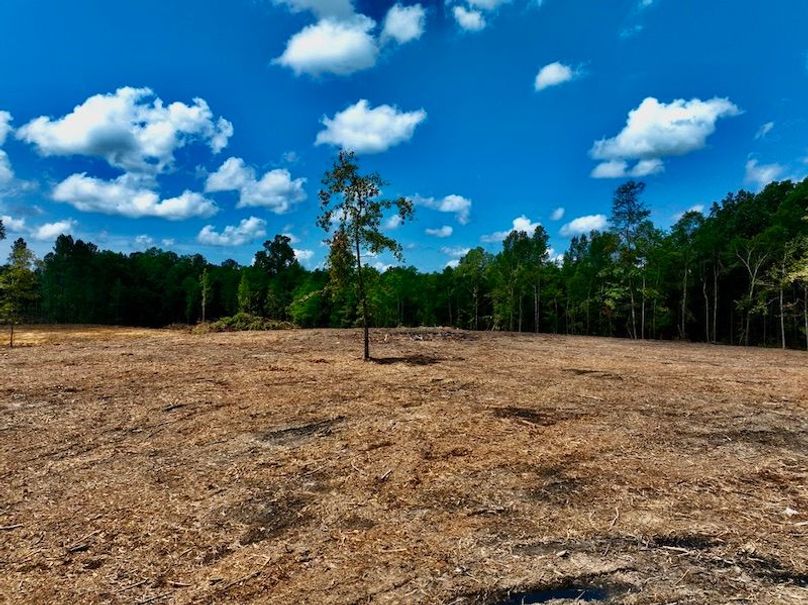 ABDE65B4-EBBD-4A34-B85B-C8A452AC9FBF_1_105_c