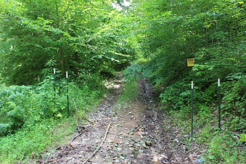 009 the northern most entry point into the property along the gravel road