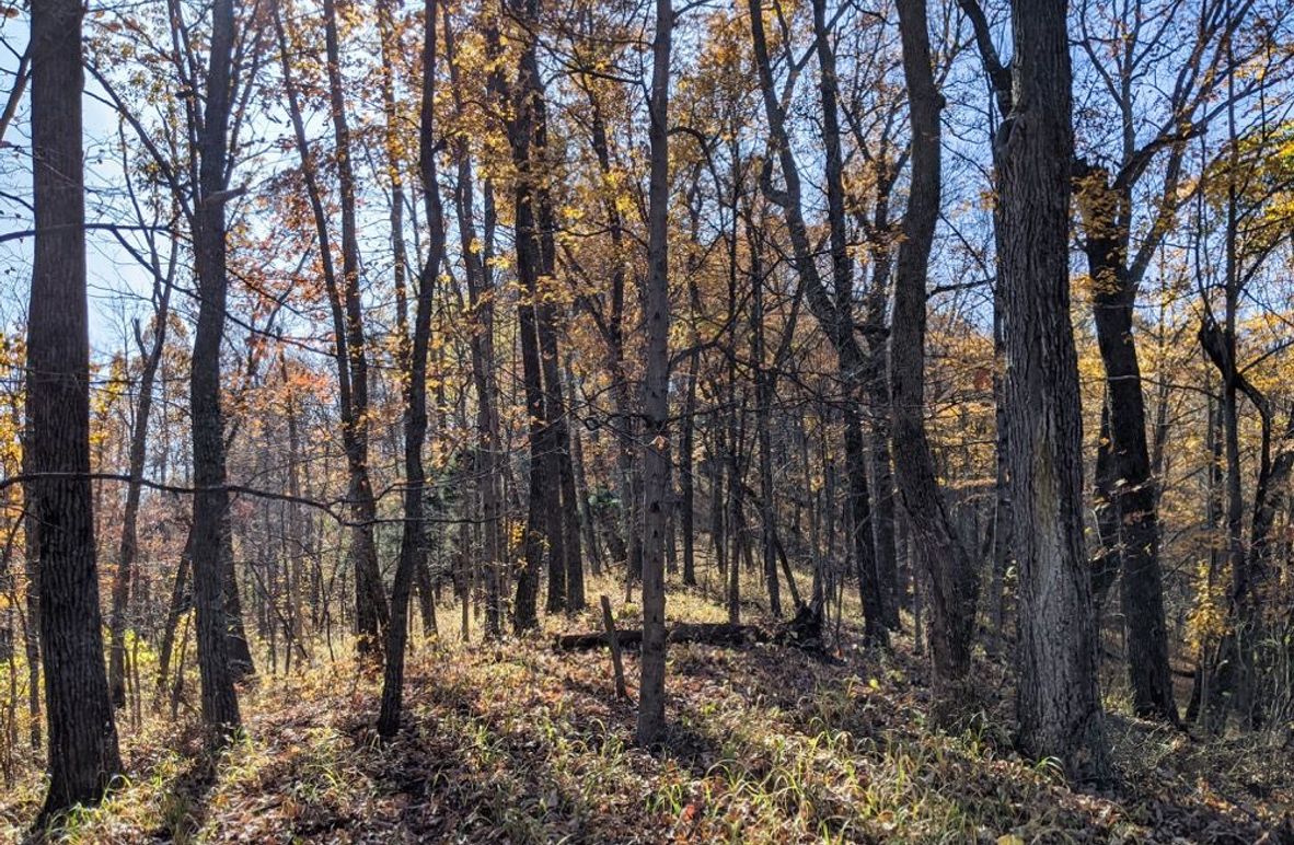 004 gorgeous early morning along the ridgetop spine-2