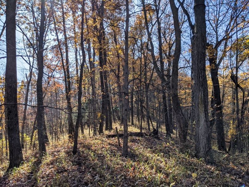 004 gorgeous early morning along the ridgetop spine-2