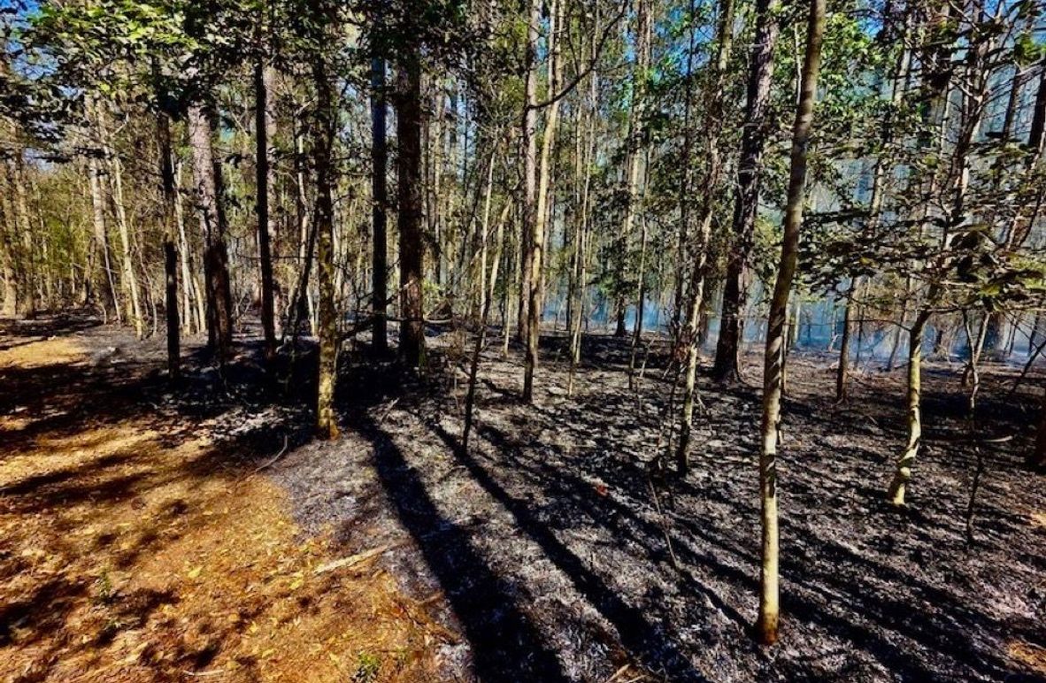 3FE47BBA-A531-4E7A-82B7-8A030C2E64DC_1_105_c-2