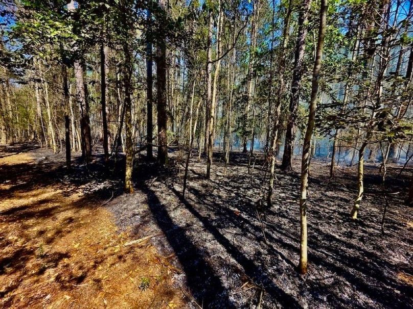 3FE47BBA-A531-4E7A-82B7-8A030C2E64DC_1_105_c-2