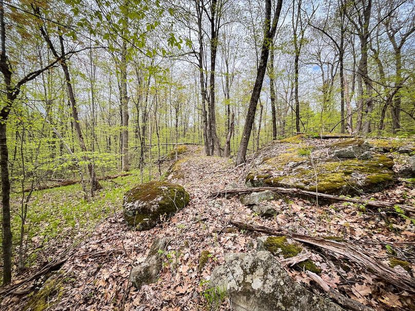 Jefferson_148.1_Flood_Photos_34