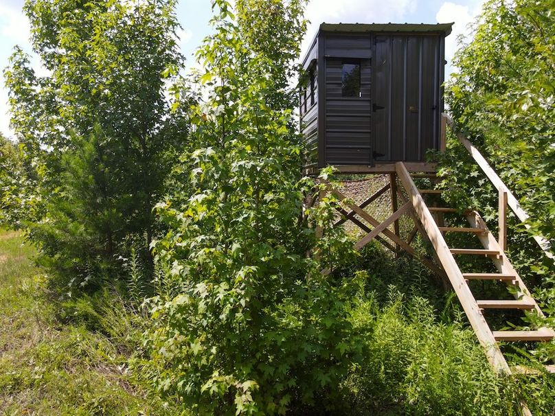 dji_fly_20250729_113428_828_1753803290995_photo