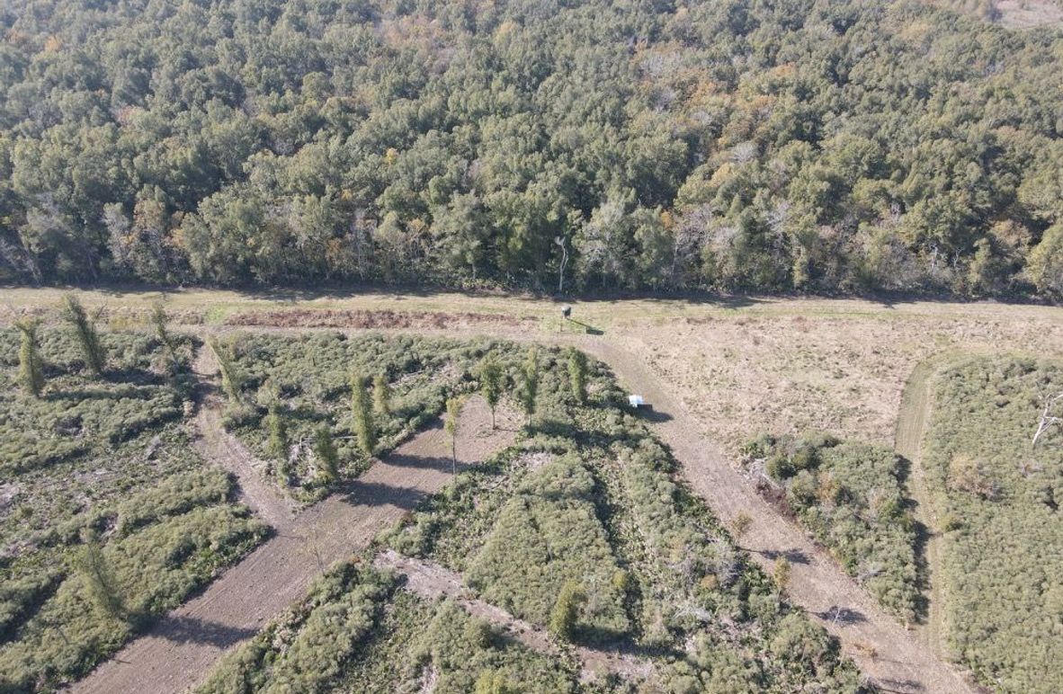 dji_fly_20241129_122020_384_1732904436518_photo