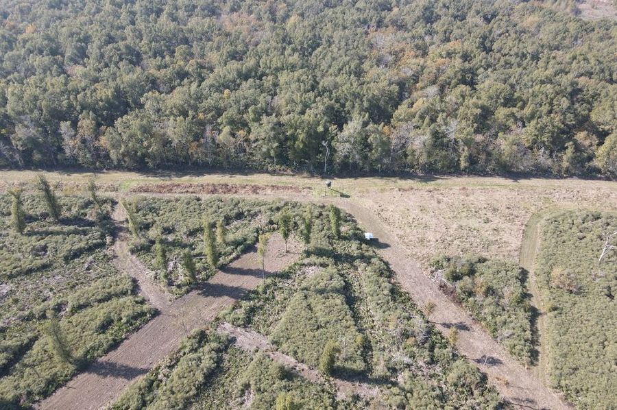 dji_fly_20241129_122020_384_1732904436518_photo