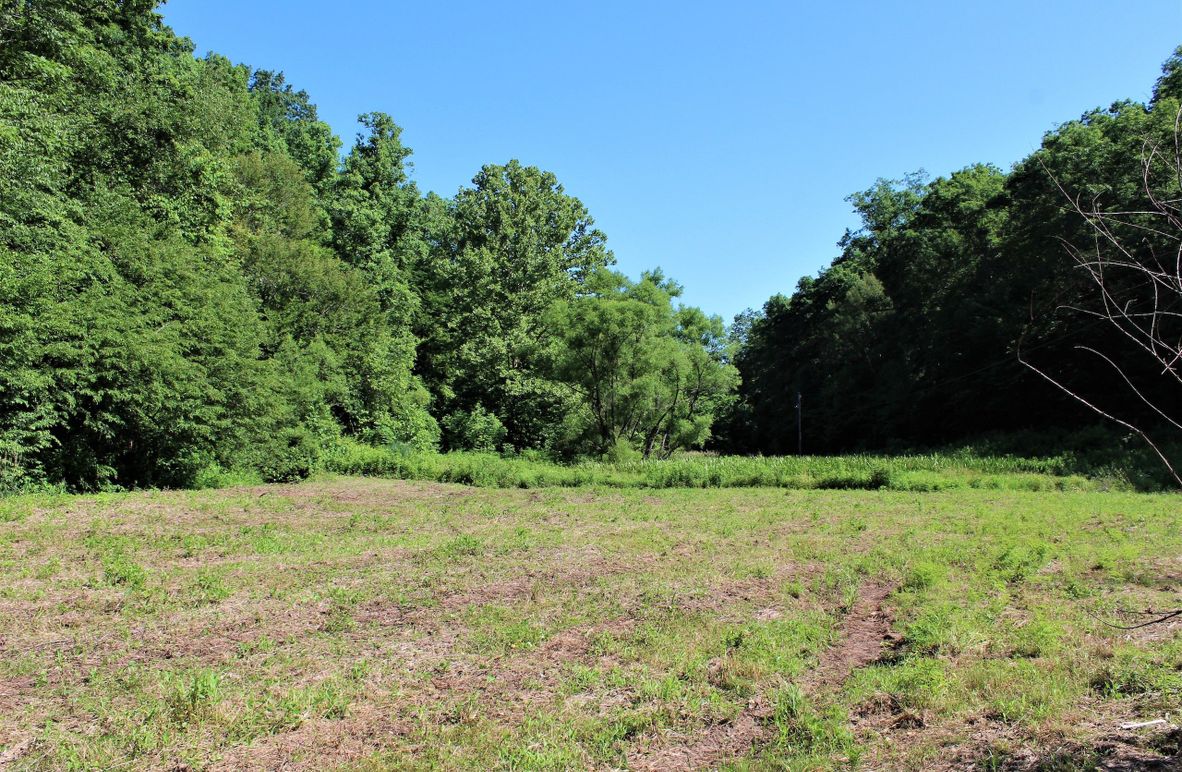 005 the open field bottom area perfect for a garden