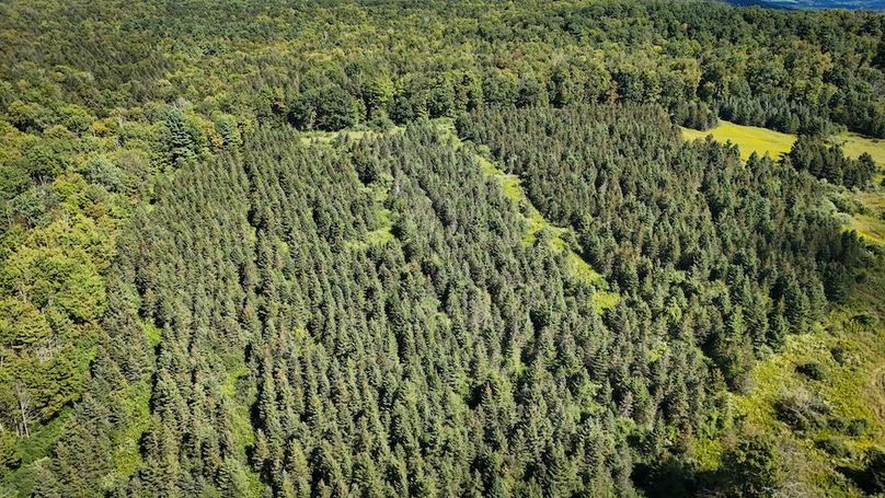 Tioga NY 232.62 Shores Photos 24