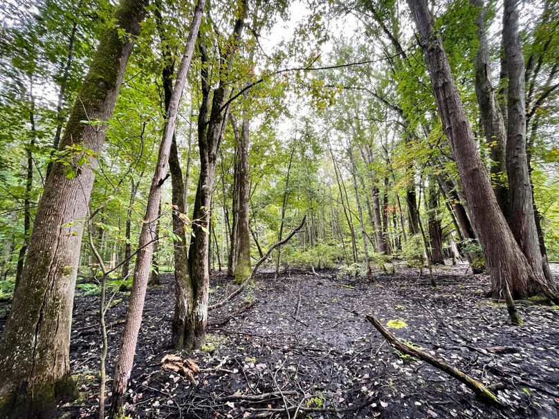 Ontario_16.2_Eddington Photo 12