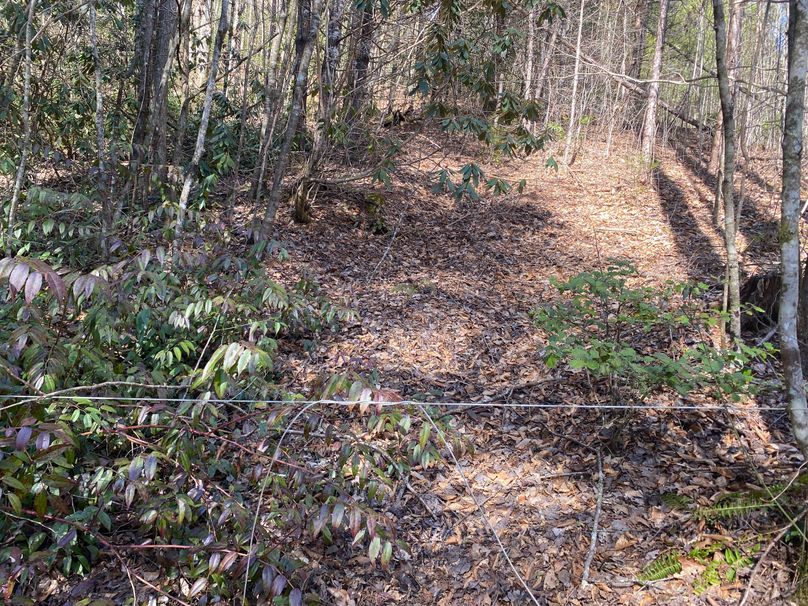 Cherokee 7.47 Herzog-11