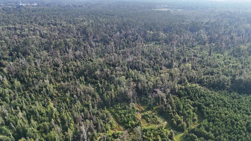 dji_fly_20250903_215816_0015_1756926959473_photo