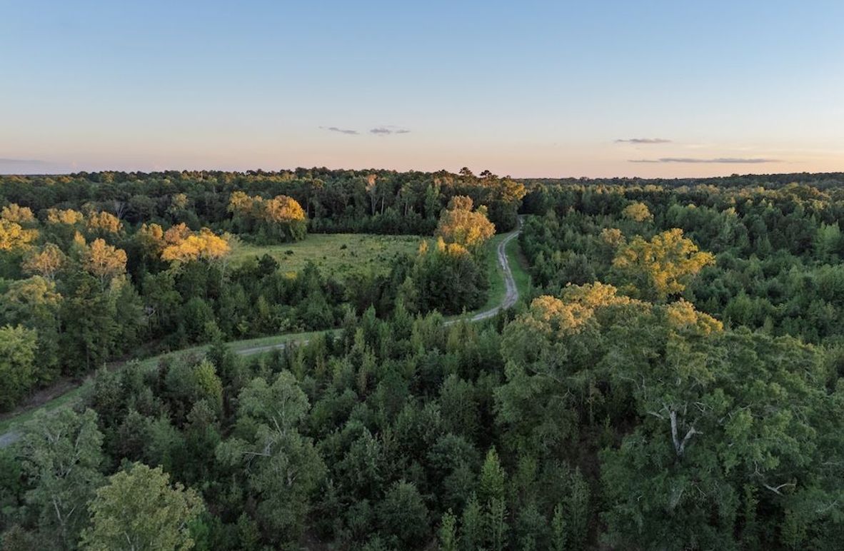 5 Edited Harison co. 206 - Ed Robb-036