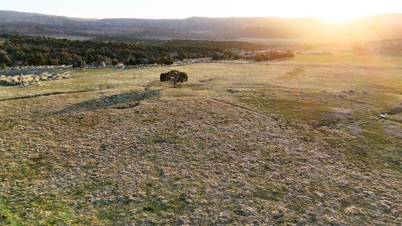 DJI_20250409193712_0109_D