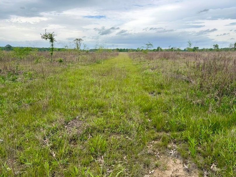 B492E323-1EE5-43AE-845B-3DA457BF2C8B_1_105_c