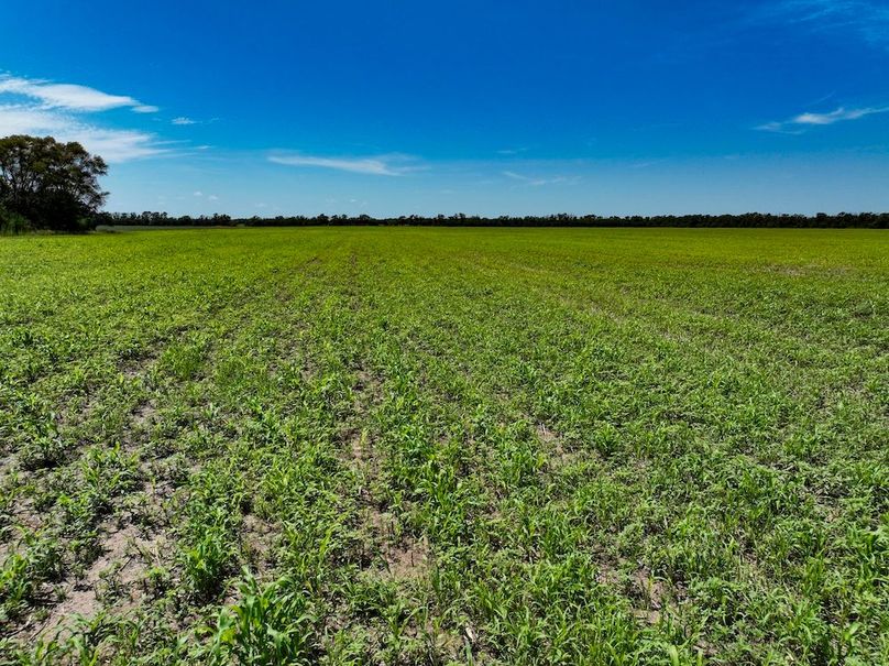 Saline Co, 78.45_012