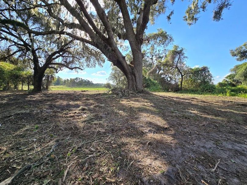 21ac, Sumter, Reelvest13