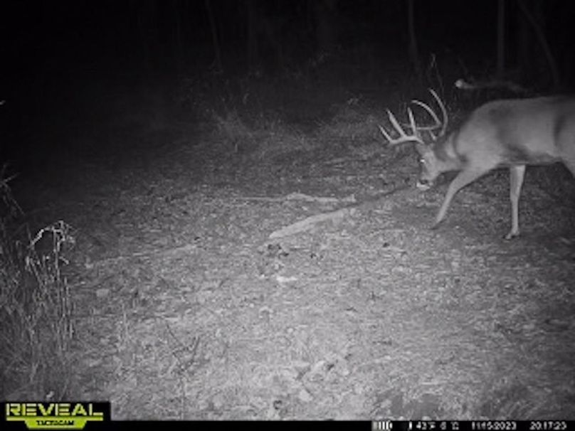 865509050473705-90-4-11152023201742-W1003943