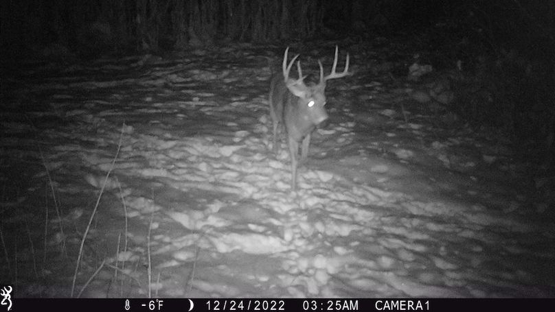 Sauk 174 Trailcam - 38