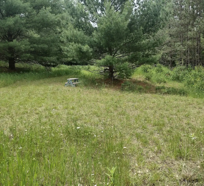 Screenshot 2026-03-03 at 9.56.38 AM