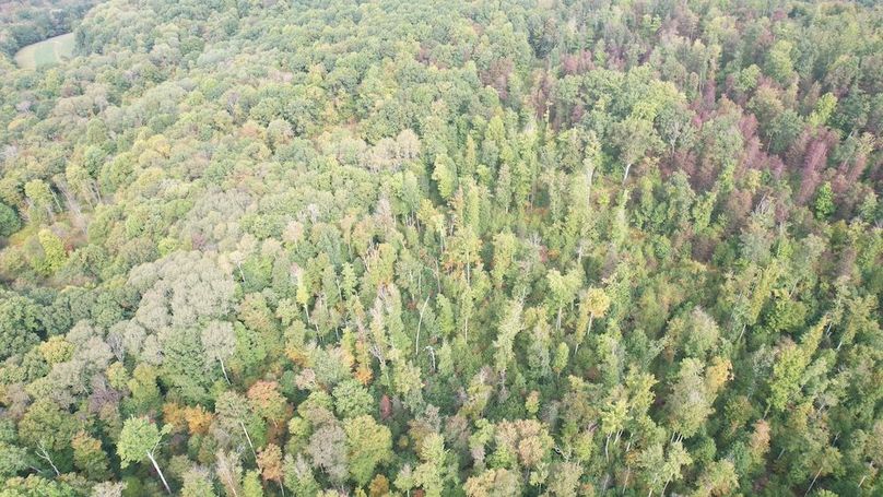 dji_fly_20240919_101024_685_1726755203517_photo