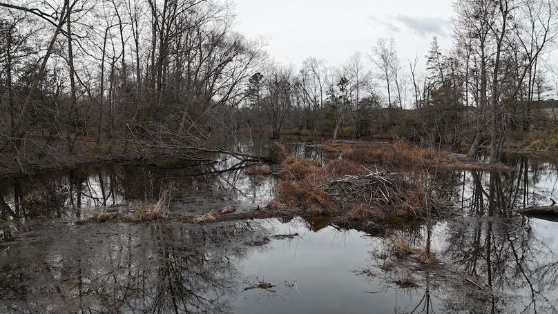 dji_fly_20260218_164650_0038_1771452054042_photo