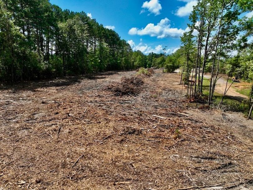 F1C100C3-4DF7-4AA9-86EB-219DFF7BF279_1_105_c